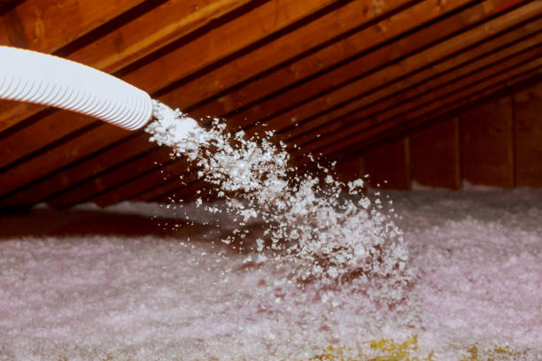 Best Home Insulation Services  in Edmundson, MO