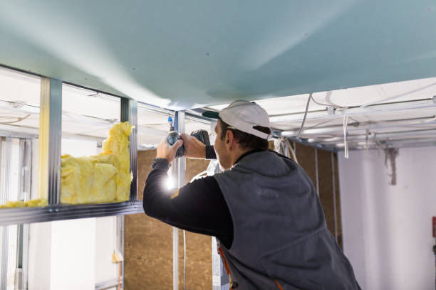 Best Insulation Inspection Services  in Edmundson, MO