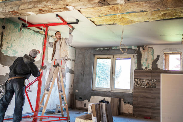 Best Best Insulation Companies  in Edmundson, MO