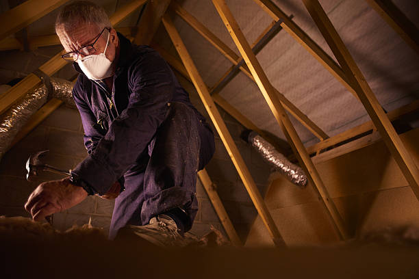 Best Blown-in Insulation  in Edmundson, MO