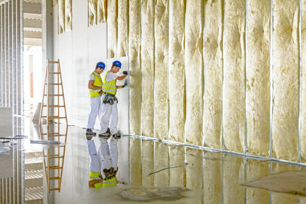 Best Insulation for Commercial Buildings  in Edmundson, MO